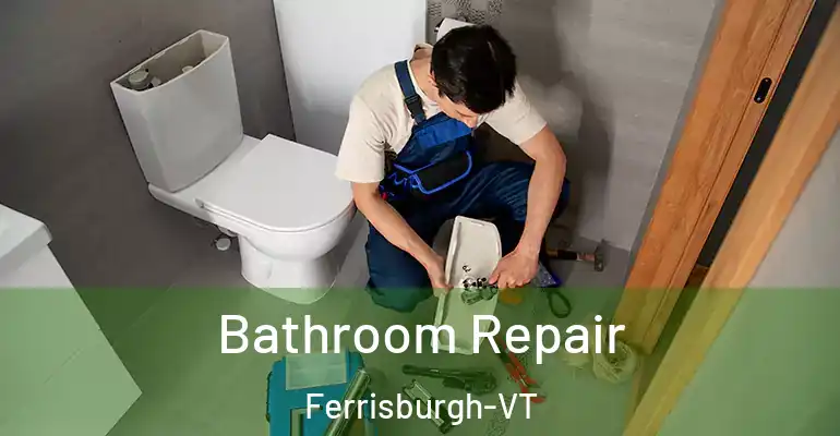 inner Bathroom imggen Bathroom Repair Ferrisburgh-VT