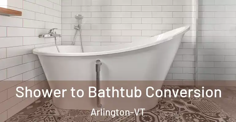 inner Bathroom imggen Shower to Bathtub Conversion Arlington-VT