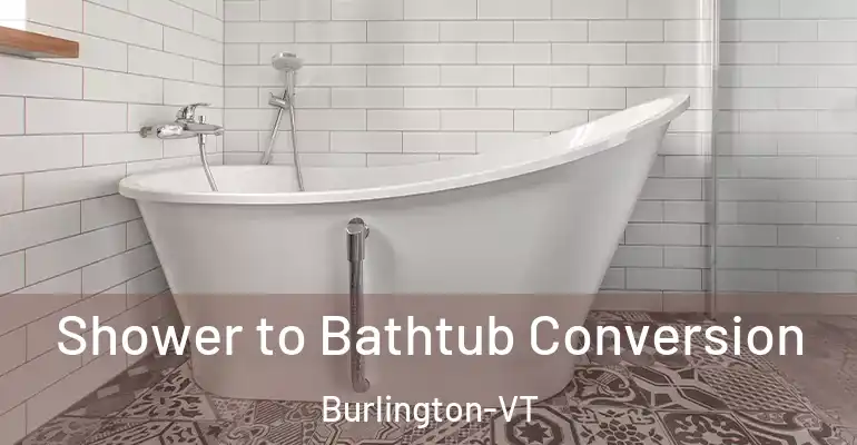 inner Bathroom imggen Shower to Bathtub Conversion Burlington-VT
