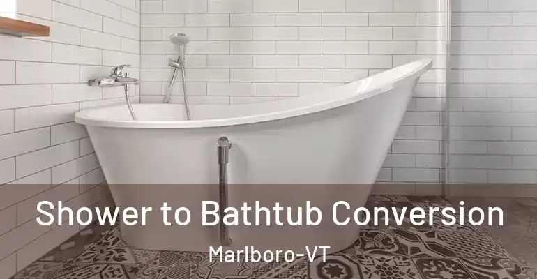 inner Bathroom imggen Shower to Bathtub Conversion Marlboro-VT