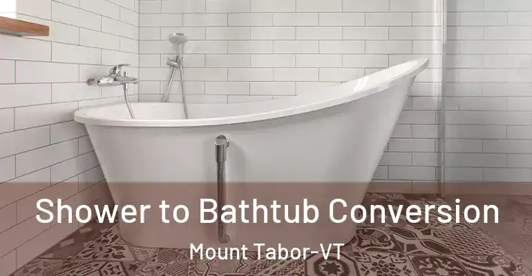 inner Bathroom imggen Shower to Bathtub Conversion Mount Tabor-VT