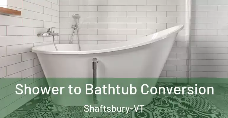 inner Bathroom imggen Shower to Bathtub Conversion Shaftsbury-VT