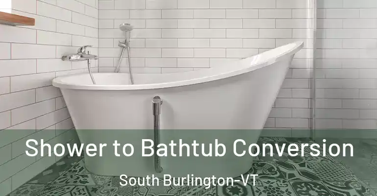 inner Bathroom imggen Shower to Bathtub Conversion South Burlington-VT