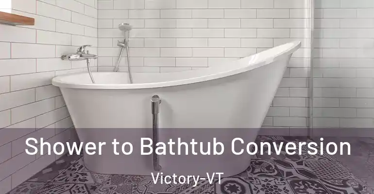 inner Bathroom imggen Shower to Bathtub Conversion Victory-VT
