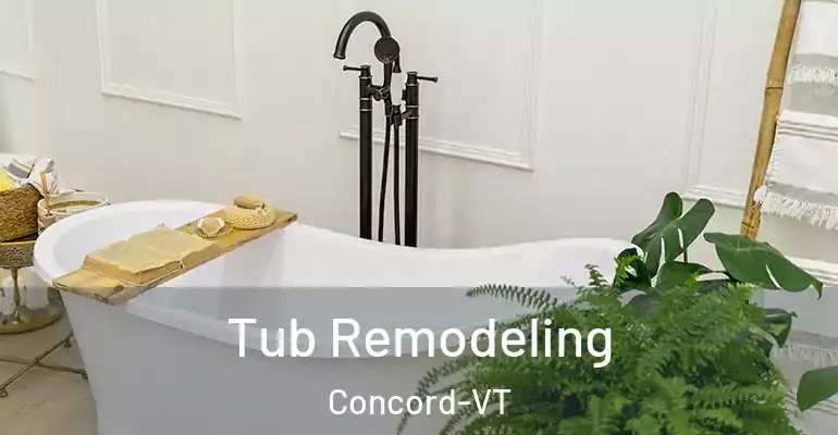 inner Bathroom imggen Tub Remodeling Concord-VT