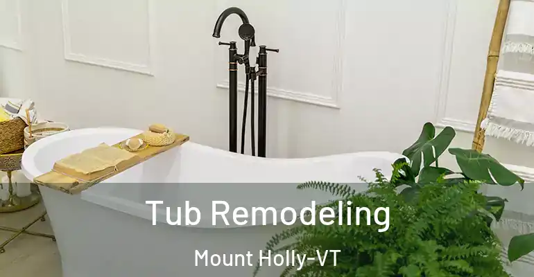 inner Bathroom imggen Tub Remodeling Mount Holly-VT
