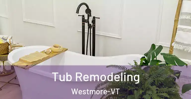 inner Bathroom imggen Tub Remodeling Westmore-VT