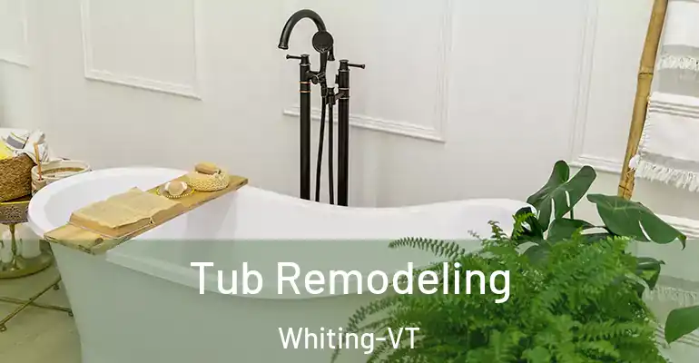 inner Bathroom imggen Tub Remodeling Whiting-VT