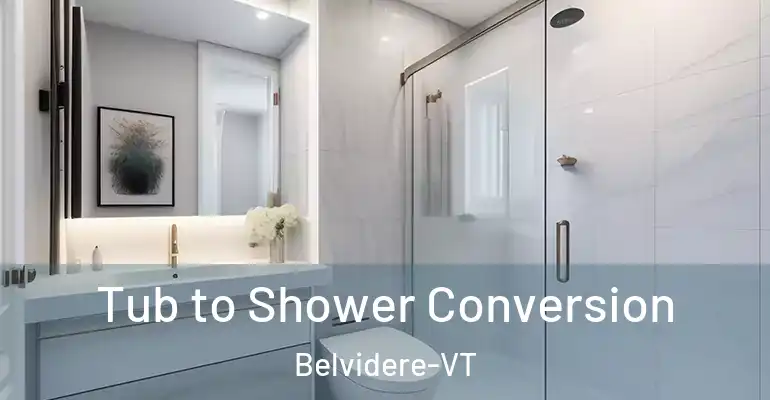 inner Bathroom imggen Tub to Shower Conversion Belvidere-VT