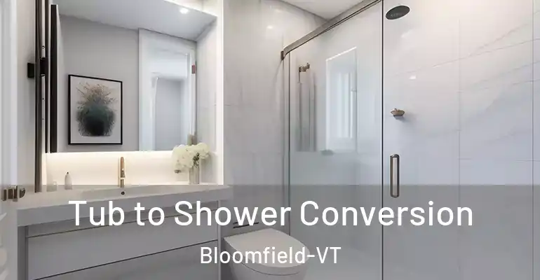 inner Bathroom imggen Tub to Shower Conversion Bloomfield-VT