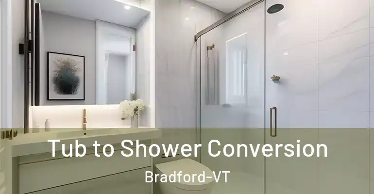 inner Bathroom imggen Tub to Shower Conversion Bradford-VT