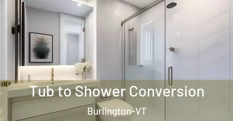 inner Bathroom imggen Tub to Shower Conversion Burlington-VT