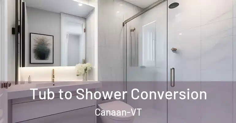 inner Bathroom imggen Tub to Shower Conversion Canaan-VT