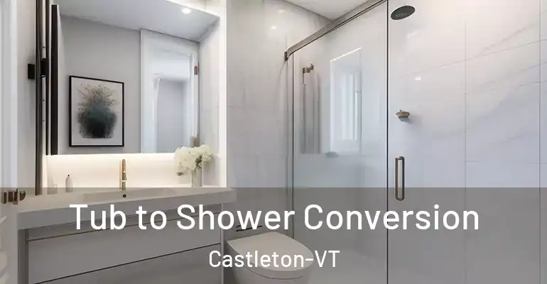 inner Bathroom imggen Tub to Shower Conversion Castleton-VT
