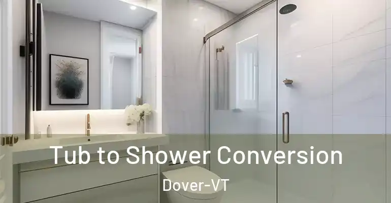 inner Bathroom imggen Tub to Shower Conversion Dover-VT