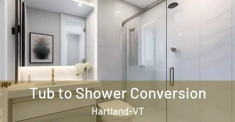 inner Bathroom imggen Tub to Shower Conversion Hartland-VT