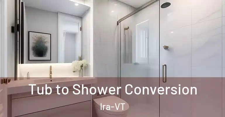 inner Bathroom imggen Tub to Shower Conversion Ira-VT