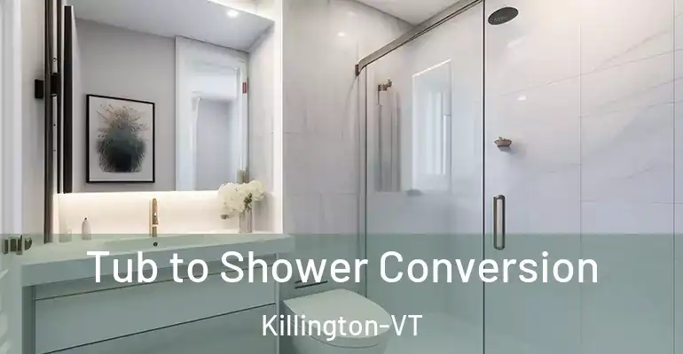 inner Bathroom imggen Tub to Shower Conversion Killington-VT