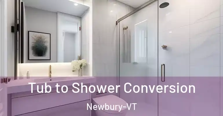 inner Bathroom imggen Tub to Shower Conversion Newbury-VT