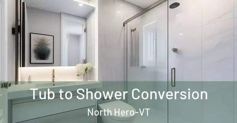 inner Bathroom imggen Tub to Shower Conversion North Hero-VT