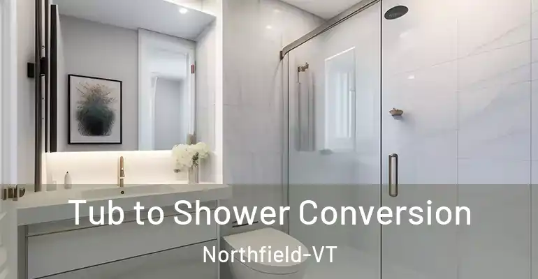 inner Bathroom imggen Tub to Shower Conversion Northfield-VT
