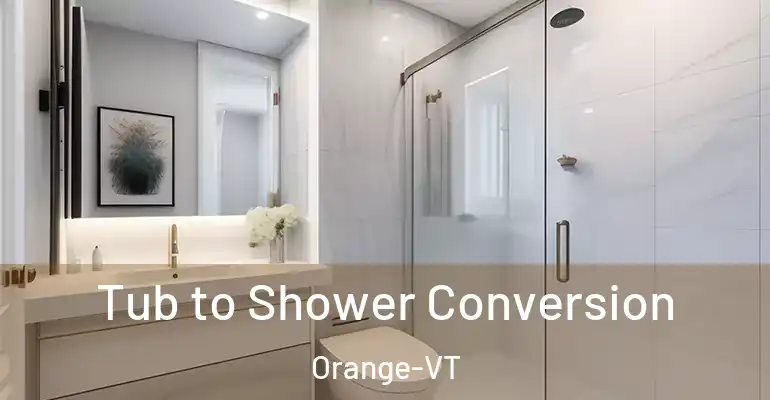 inner Bathroom imggen Tub to Shower Conversion Orange-VT