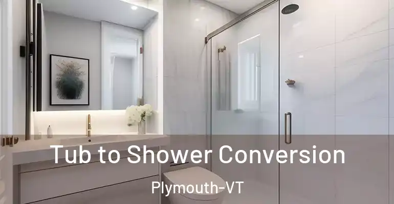 inner Bathroom imggen Tub to Shower Conversion Plymouth-VT