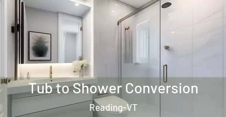 inner Bathroom imggen Tub to Shower Conversion Reading-VT