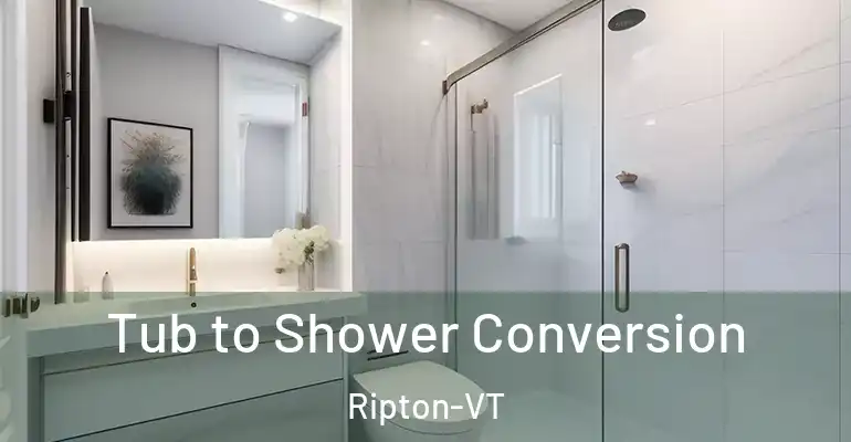 inner Bathroom imggen Tub to Shower Conversion Ripton-VT