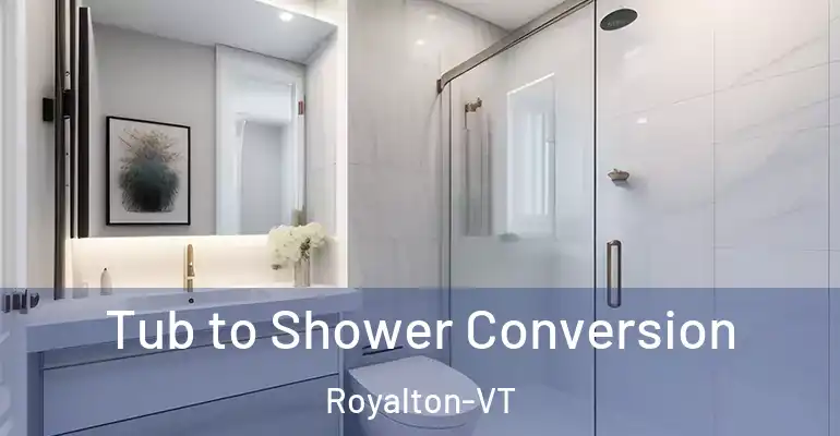 inner Bathroom imggen Tub to Shower Conversion Royalton-VT