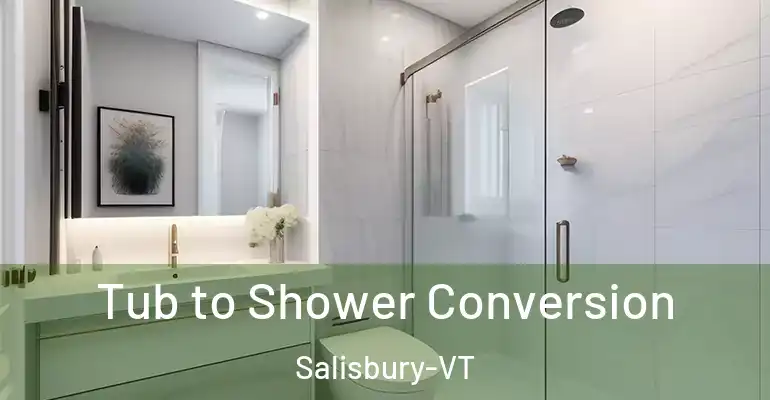 inner Bathroom imggen Tub to Shower Conversion Salisbury-VT