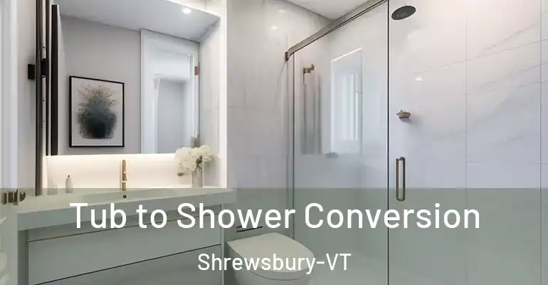 inner Bathroom imggen Tub to Shower Conversion Shrewsbury-VT