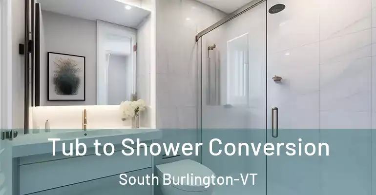 inner Bathroom imggen Tub to Shower Conversion South Burlington-VT