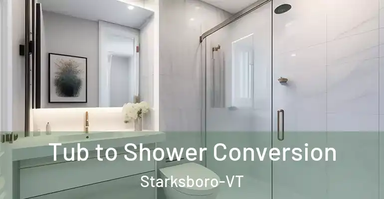 inner Bathroom imggen Tub to Shower Conversion Starksboro-VT