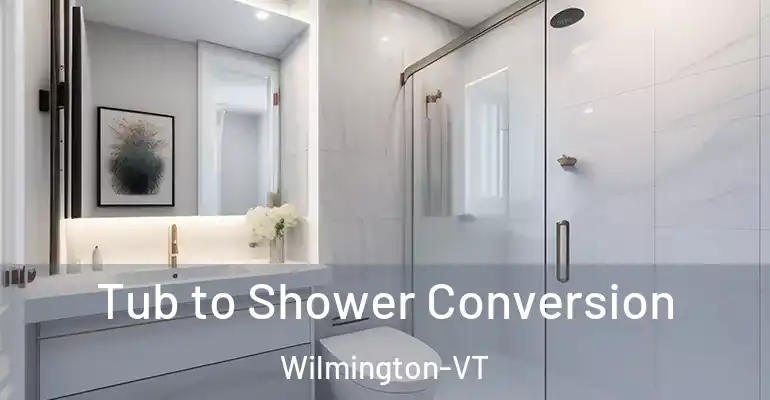 inner Bathroom imggen Tub to Shower Conversion Wilmington-VT